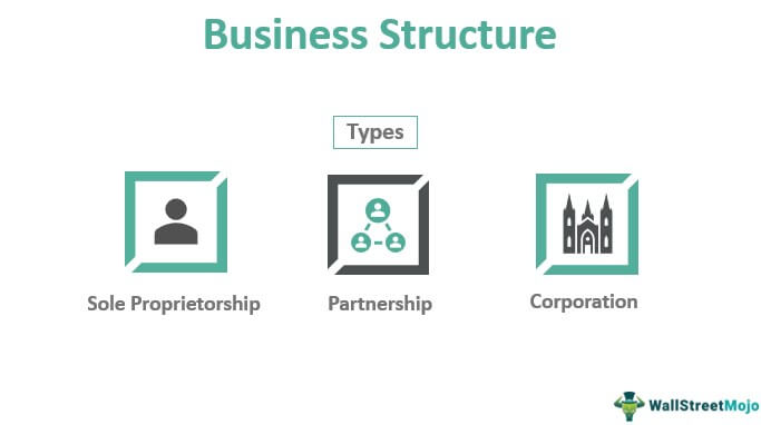 Business structure. Explain the four Types of Business structure.