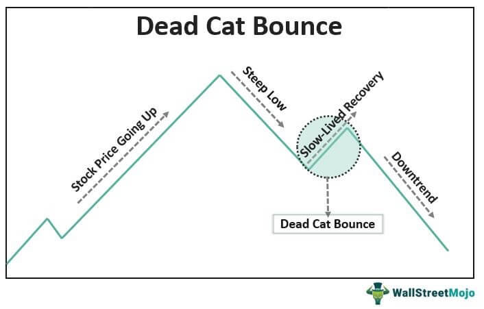 Прыжок мертвой кошки